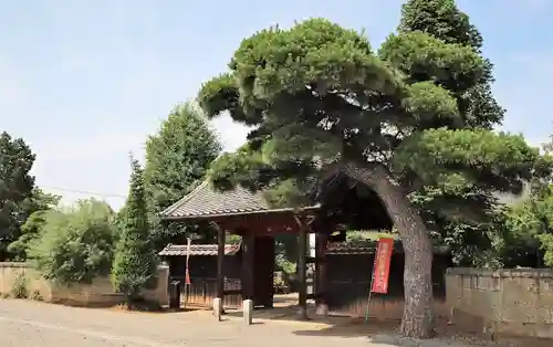 遍照寺の建物その他