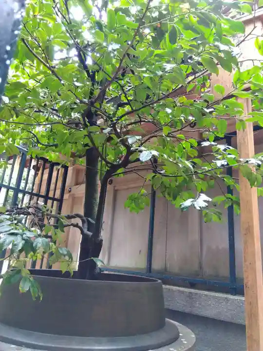 清荒神清澄寺(兵庫県)