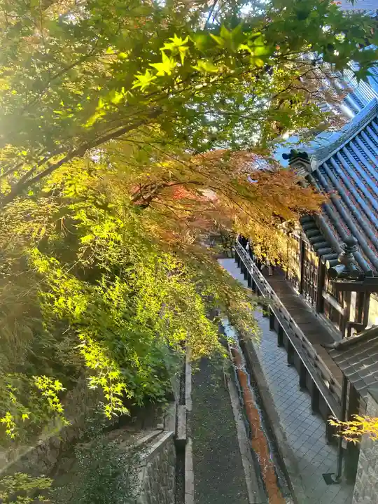 禅林寺(永観堂)(京都府)