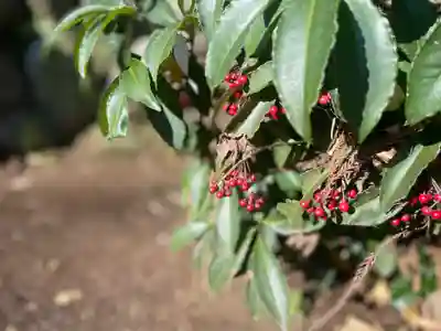 浅間神社の自然