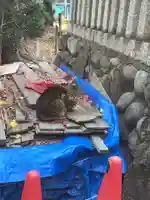 水野社の動物