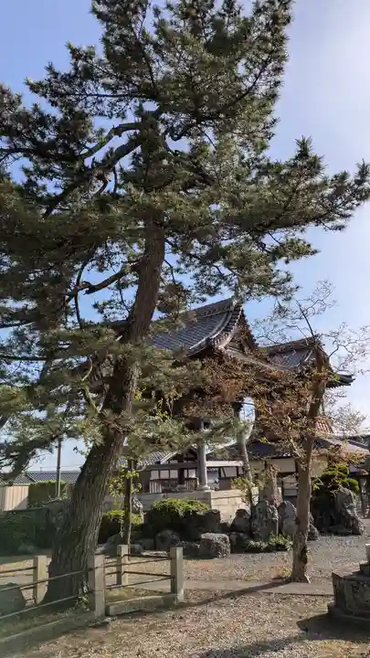 明楽寺(滋賀県)