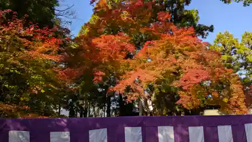 北野天満宮(京都府)