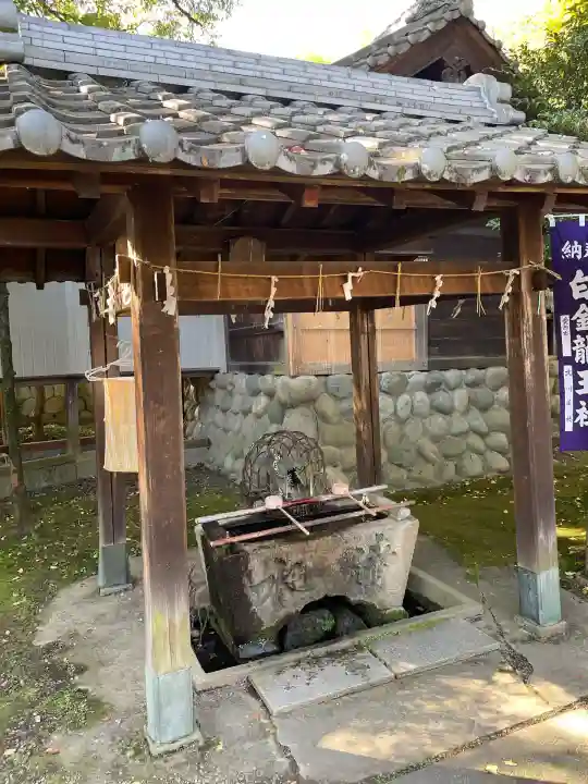 白金龍王社(愛知県)