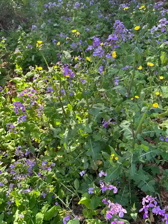 八幡神社(神奈川県)