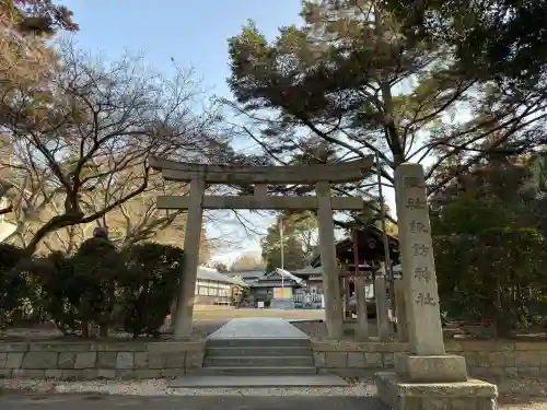 諏訪神社の{uncategorized: "未分類", other: "その他", undefined: "問題あり", building: "その他建物", grave: "お墓", sacred_gate: "鳥居", guardian: "狛犬", statue: "像", buddha: "仏像", history: "歴史", nature: "自然", garden: "庭園", animal: "動物", pagoda: "塔", temizu: "手水舎", mountain_gate: "山門・神門", sanctuary: "本殿・本堂", subordinate: "末社・摂社", art: "芸術", scenery: "景色", jizo: "地蔵", ema: "絵馬", goshuin: "御朱印", omikuji: "おみくじ", items: "授与品その他", amulet: "お守り", goshuincho: "御朱印帳", eats: "食事", festival: "お祭り", votive_dance: "神楽", shichigosan: "七五三参", wedding: "結婚式", experience: "体験その他", initially: "初詣", around: "周辺", anti_infection: "感染症対策"}