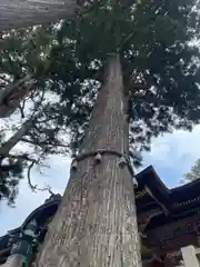 三峯神社(埼玉県)