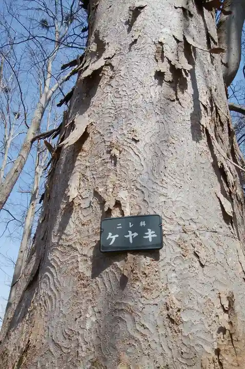 長沼神社(北海道)