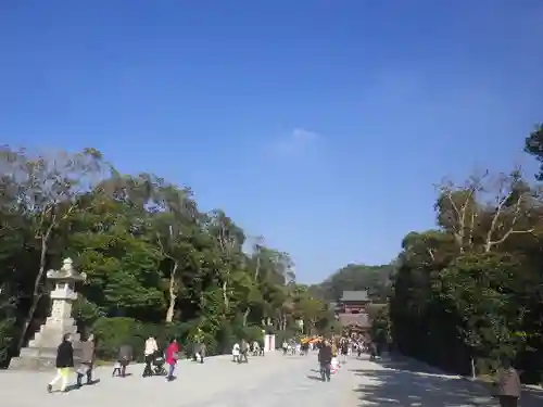 鶴岡八幡宮の自然