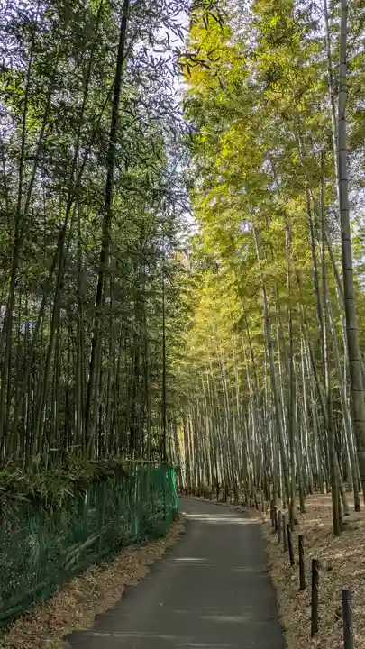 光明寺(粟生光明寺)(京都府)