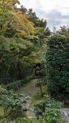 大光院(京都府)