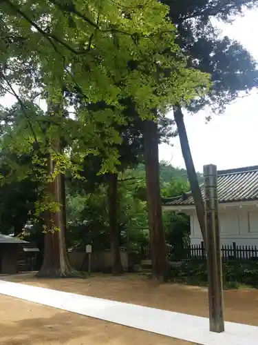 一乗寺のその他建物