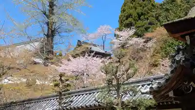 西教寺(滋賀県)