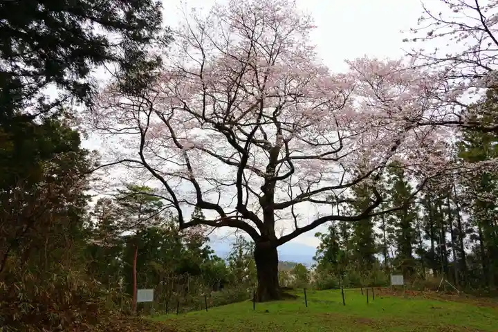 安達太良神社の自然
