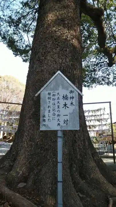 五社神社の自然