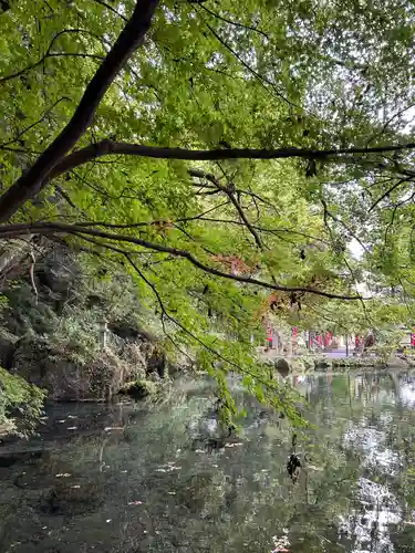 磯山弁財天(栃木県)