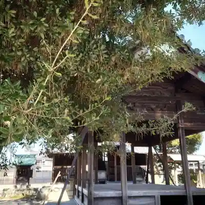 八幡社(愛知県)