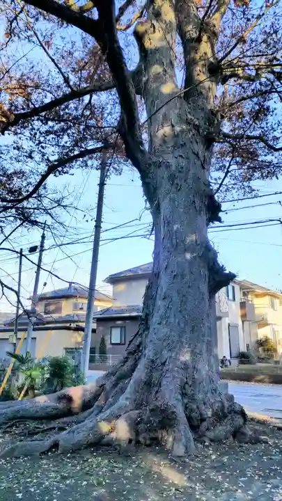 雀神社(茨城県)