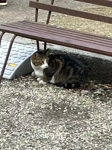 今市報徳二宮神社(栃木県)