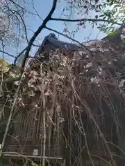 熊野神社の自然