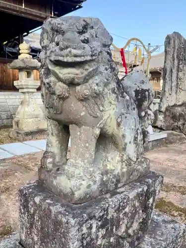 若狭野天満神社の狛犬