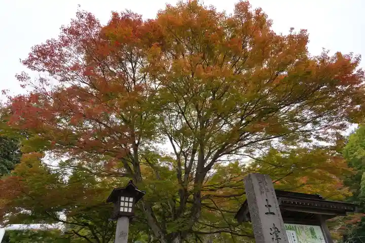 土津神社|こどもと出世の神さまの自然