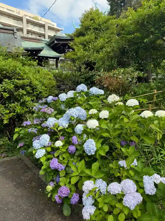 白金氷川神社(東京都)