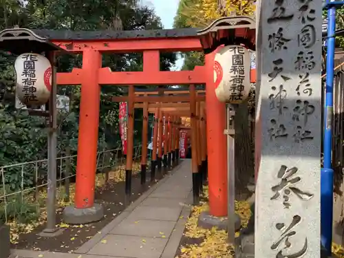 花園稲荷神社の鳥居