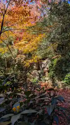 法金剛院(京都府)