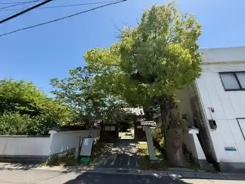 井際山 如意輪寺の{uncategorized: "未分類", other: "その他", undefined: "問題あり", building: "その他建物", grave: "お墓", sacred_gate: "鳥居", guardian: "狛犬", statue: "像", buddha: "仏像", history: "歴史", nature: "自然", garden: "庭園", animal: "動物", pagoda: "塔", temizu: "手水舎", mountain_gate: "山門・神門", sanctuary: "本殿・本堂", subordinate: "末社・摂社", art: "芸術", scenery: "景色", jizo: "地蔵", ema: "絵馬", goshuin: "御朱印", omikuji: "おみくじ", items: "授与品その他", amulet: "お守り", goshuincho: "御朱印帳", eats: "食事", festival: "お祭り", votive_dance: "神楽", shichigosan: "七五三参", wedding: "結婚式", experience: "体験その他", initially: "初詣", around: "周辺", anti_infection: "感染症対策"}