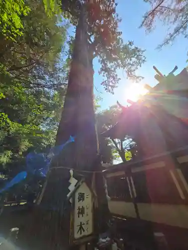 一言主神社(茨城県)