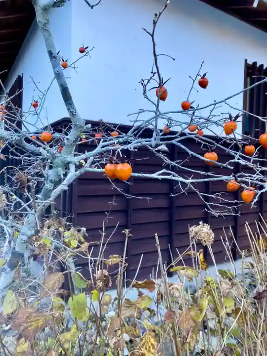 普門寺(切り絵御朱印発祥の寺)(愛知県)