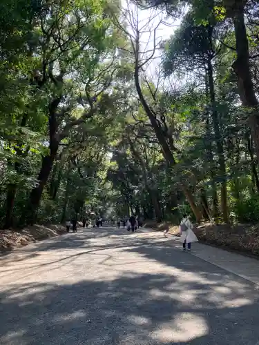 明治神宮(東京都)