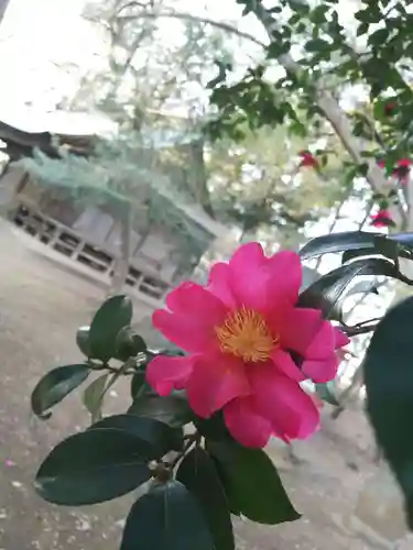 東蕗田天満社の自然