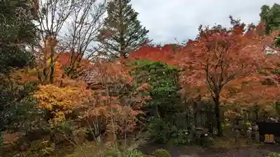 安楽寺(京都府)