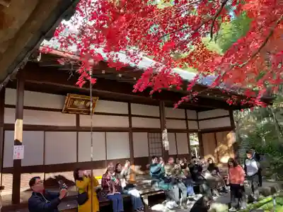 榮攝院（栄摂院）(京都府)