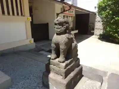 高輪神社の狛犬