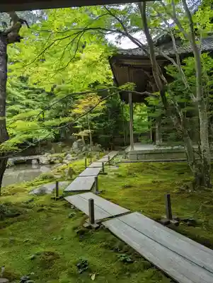 蓮華寺（洛北蓮華寺）(京都府)