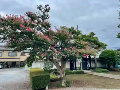 光了寺(茨城県)