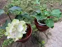 大宮温泉神社の自然