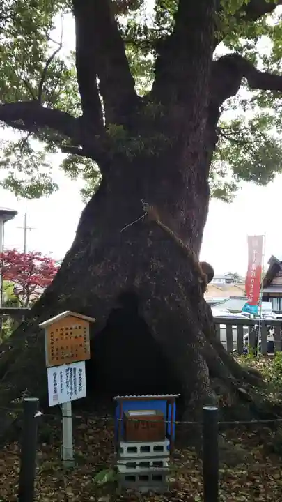 細江神社のその他建物