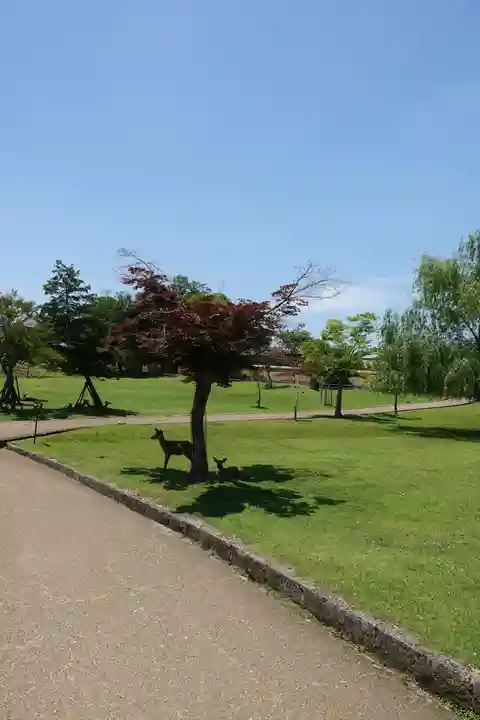 東大寺戒壇院千手堂の動物