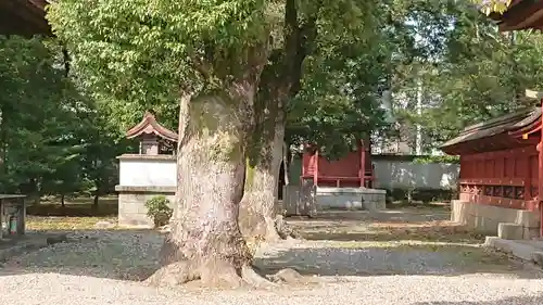 伊賀八幡宮の末社・摂社