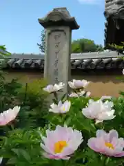 當麻寺(奈良県)