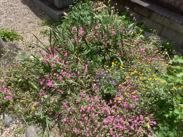 三輪神社の自然