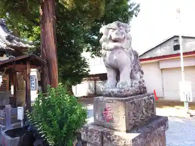 坂戸神社(埼玉県)