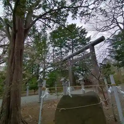 信濃神社の鳥居