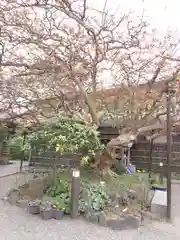 補陀洛寺(神奈川県)