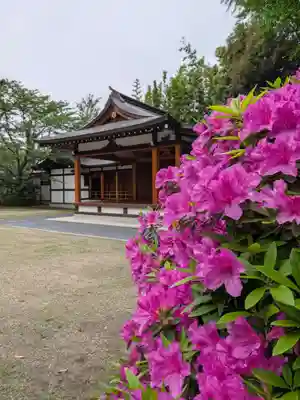 阿佐ヶ谷神明宮(東京都)