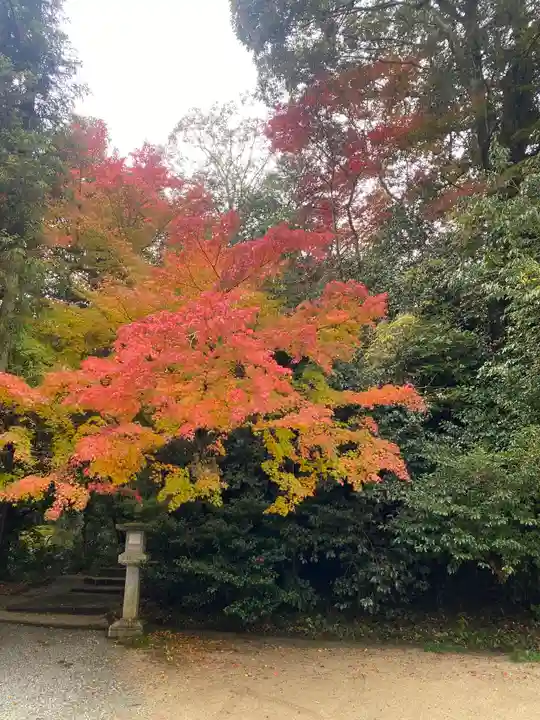 葛木坐火雷神社(奈良県)
